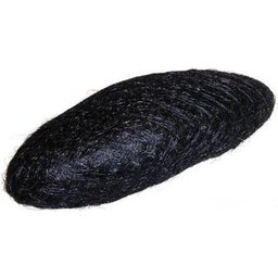Filler Large Elongated Chignon Black 1ut