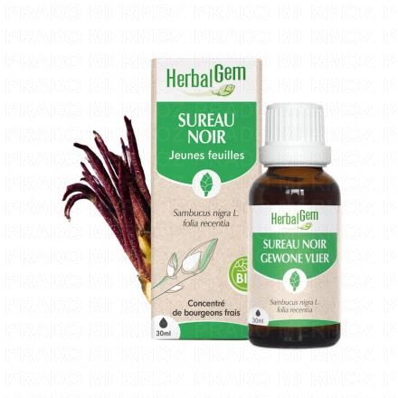 Concentré du bourgeons frais - Sureau noir jeunes feuilles bio 30ml