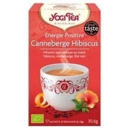 Infusion Ayurvédique Énergie Positive Bio 17 sachets