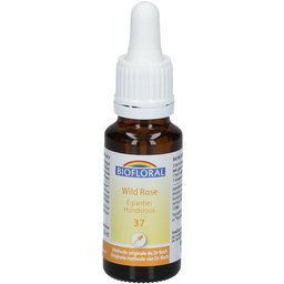 Wild rose - Eglantier - 20 ml
