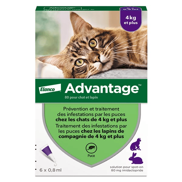 Solution Antipuce Chat Lapin +4kg 6 pipettes