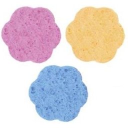 Cellulose Eponge Couleur Indivisible 12uds