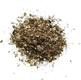 Tisane Eupatoire plante Eupatorium cannabinum.