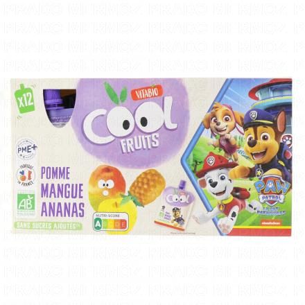 Cool fruits - Gourdes La Pat's Patrouille pomme mangue ananas x12