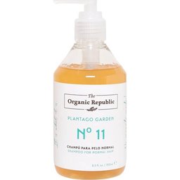 Shampooing pour cheveux normaux 250ml