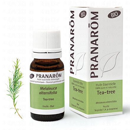 Huile essentielle Tea Tree bio flacon 10ml