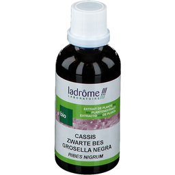 Extrait de plante fraîche Cassis Bio