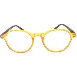 Gafa Rg170 Couleur Jaune +1.50 1ud