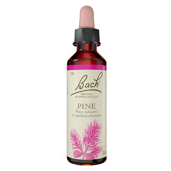 Original - Pine 20ml