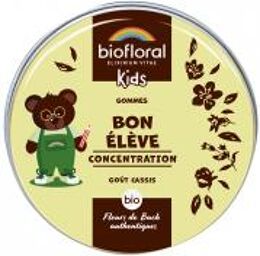 Enfants Bon Élève Gommes Bio 45 g - Boîte 45 g (environ 45 gommes)
