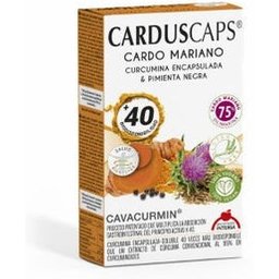 Intersa Diététique Cardus Curcuma 60caps
