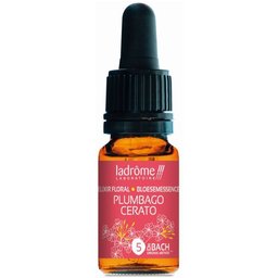 Plumbago N°5 10ml