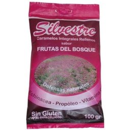 Caramelo Frutas Bosque 100g *