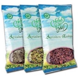 Menta Piperita 25 Gr *