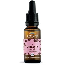 08 - Chicory - Chicorée - 20 ml