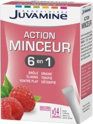 Action Minceur 6 en 1 14 Sticks à Diluer - Boîte 14 sticks