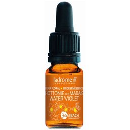 Ladrôme Hottonie des Marais N°34