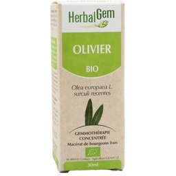 Macer Mer Bio Olivie30ml