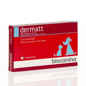 Dermatt 20 comprimés