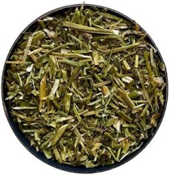 Tisane Bourse à pasteur plante Capsella bursa pastoris