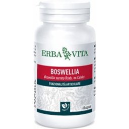 BOSWELLIA SERRATA 60CPS 400MG