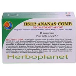 Hs112 Ananas 48comp