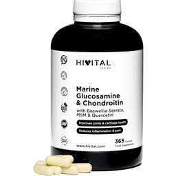 Aliments vitaux Glucosamine avec chondroïtine 365caps