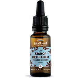 29 - Star of Bethhleem - Etoile de Bethléem - 20 ml