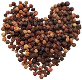 Tisane Alkekenge baie (Physalis)