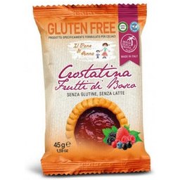 Pane Anna Gâteau de Fruits de Forêt 45g