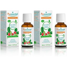 Huile Essentielle Gaulthérie BIO
