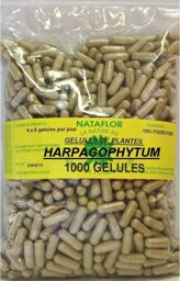 GELULES HARPAGOPHYTUM 300 mg 1000 GELULES