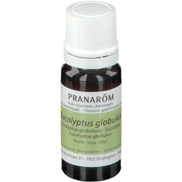 Eucalyptus Globulus Huile Essentiel