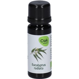 Huile Eucalyptus radiata