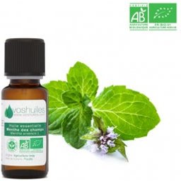 Huile Essentielle De Menthe Des Champs Bio 10ml