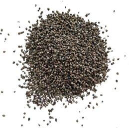 Tisane Gattilier fruit ENTIER 250 grs Vitex agnus-castus