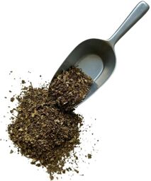 Tisane Orthosiphon feuille EXTRA.