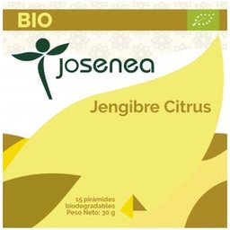 gingembre agrumes bio boîte 15 pyramides