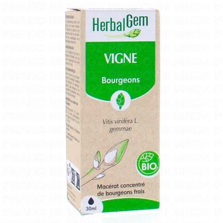 Concentré de bourgeons frais - Vigne bourgeons 30ml