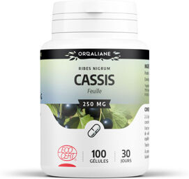 Cassis Ecocert 250 mg - gélules
