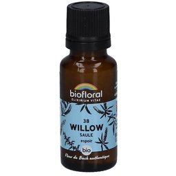 38 Willow - Saule