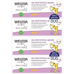 Gel Dentifrice Junior 6-12 ans