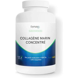 Collagène Marin Concentré