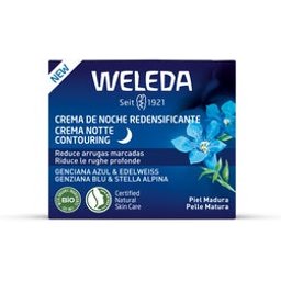 Crema de Noche Redensificante de Genciana Azul y Edelweiss 40ml