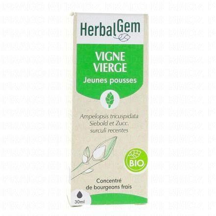 Concentré de bourgeons frais - Vigne Vierge jeunes pousses bio 30ml