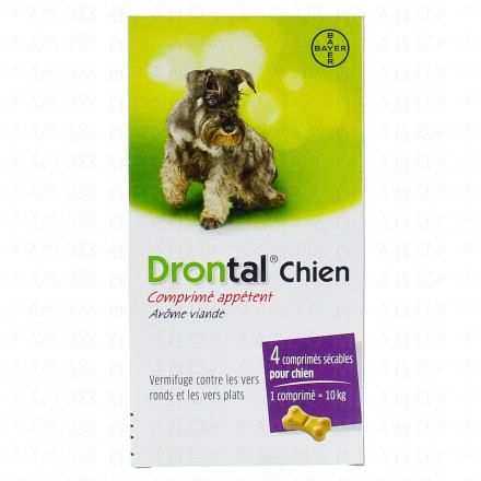 Chien - comprimés appétents boîte de 4 comprimés