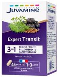 Expert Transit 45 Unités - Pot 45 gélules