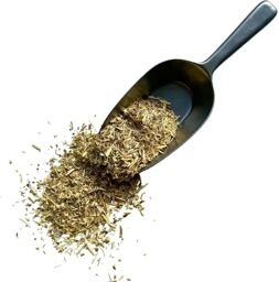 Tisane Eleutherocoque 250 GRS (Ginseng de Sibérie) racine.