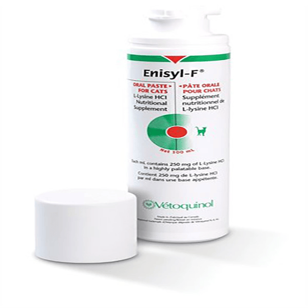 Enisyl Chat Pate Oral 100ml