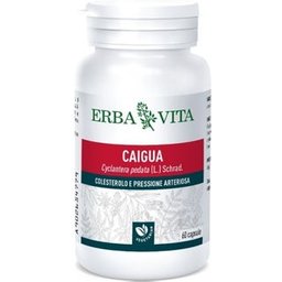 Caigua 400mg 60caps